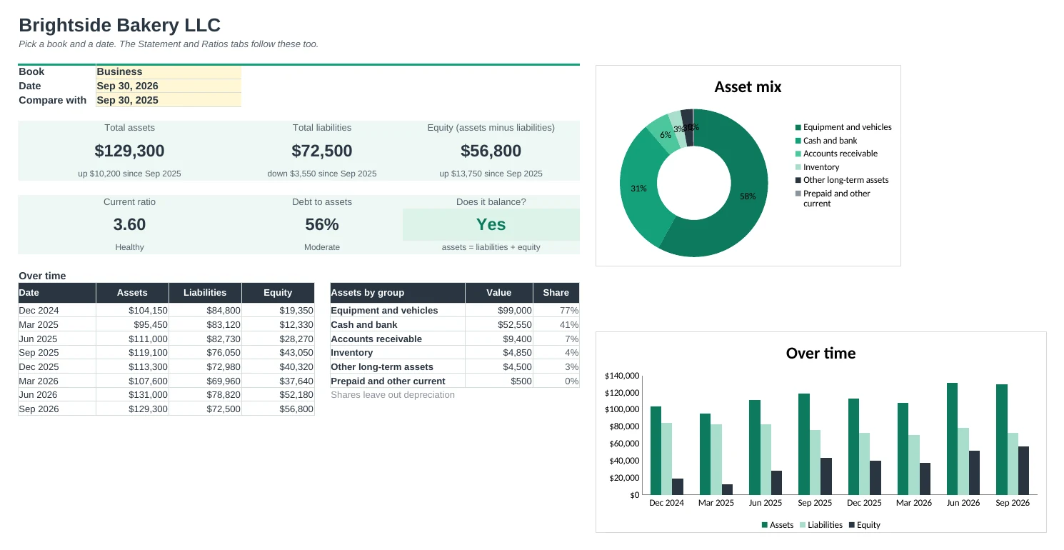 Balance Sheet Pro: Dashboard tab